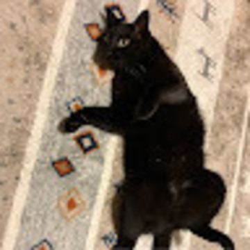 hirocchihiropyさん