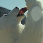 久太郎1さん
