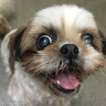 マサハルSiさん