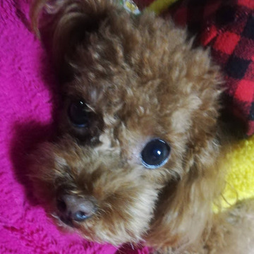 ミュージックアンドエコロジーアースさん