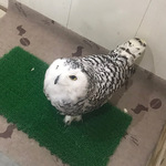 ta kuさん