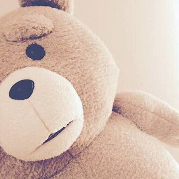 きせきかぶ11さん