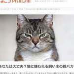 タン2025さん