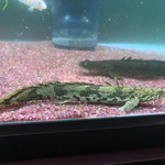 三浦直樹さん
