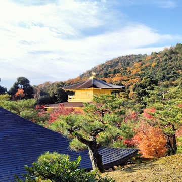 Able てとらさん