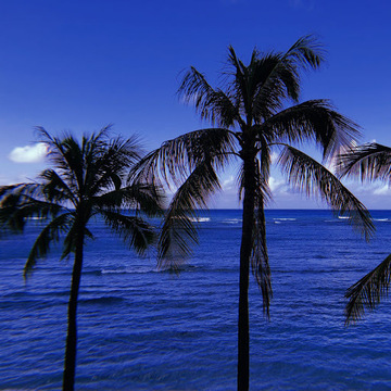 インザーギさん