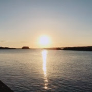 ブラックパンチさん