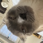 守銭奴ケチ夫さん