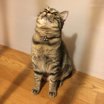 migikuroさん