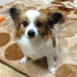 太田チョコさん