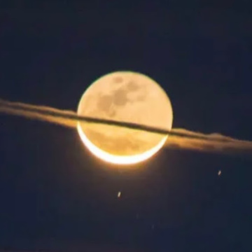 パイナップルさんさん