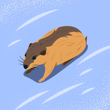 やんやん554さん