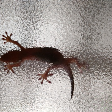 まーくん0017さん