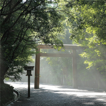 ごすけなりよんさん