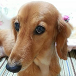 かっぴ～さん