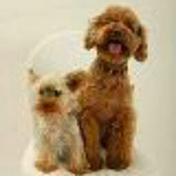 ベティベティさん