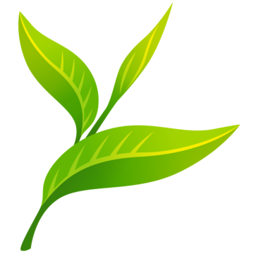 抹茶ソフトさん