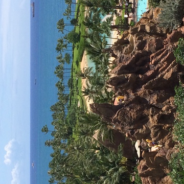 株のキョウ虎さん