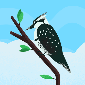 太郎　太郎さん