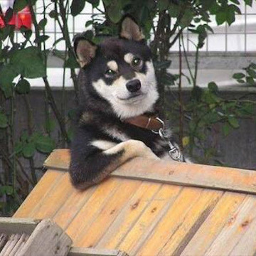 しんちゃん1975さん