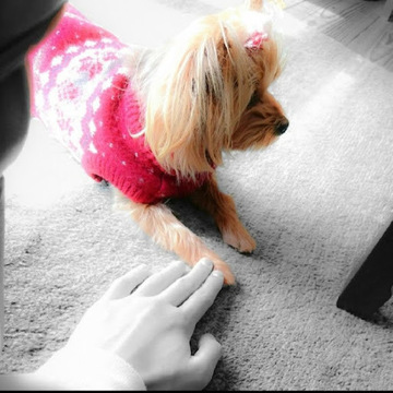 まぐろユッケのねぎさん