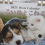 ゆあハートさん