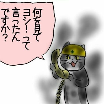 株々猫さん