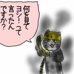 株々猫さん