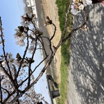 資産目標100倍さん