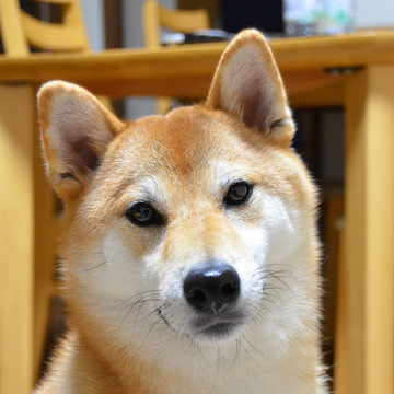 Moto Ohashiさん