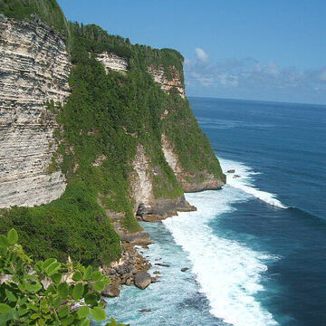 ちょっとの好奇心からさん