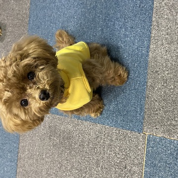 Ikechiさん