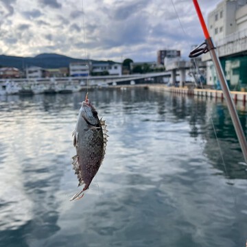 ユーザー@d02f150fb1b6さん