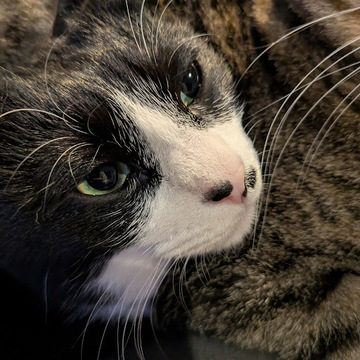 ユーザー@55f489a6dfe3さん