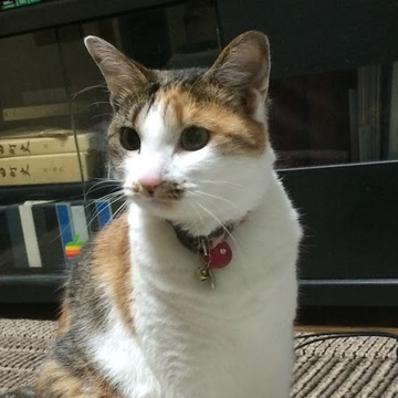 浅川優作さん