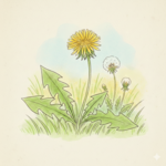 Tanpopo_Kabuさん