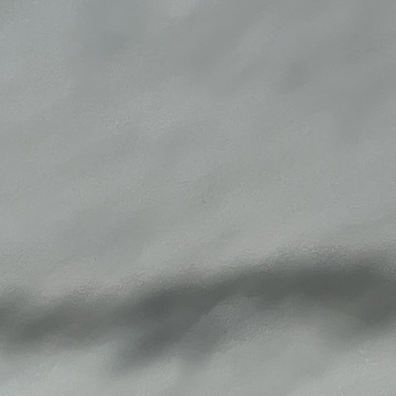 あまだのさらしみみよんでさん