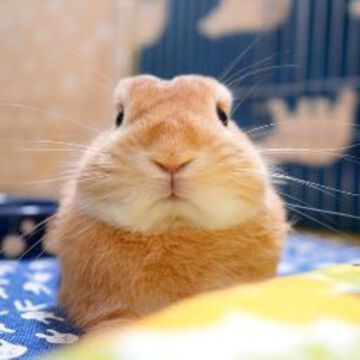 みいちゃそさん