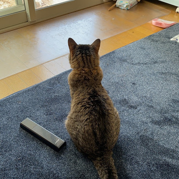 さくわんさん