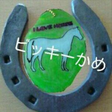 ビッキーかめさん