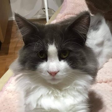 株投資おじさんさん